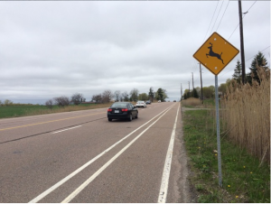 Steeles Ave. East bike lane near starting point at Pickering Town Line Rd.