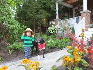 A few neighbours drop by to check out the new garden. (Furyon and his dog, Tucker) August 2015