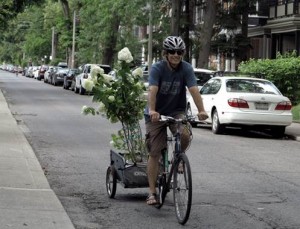 Koehl transported hundreds of kilos of sand and some of the plants by bicycle.